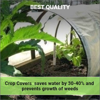 Takufu Crop Protection Cover, 3 Feet x 400 Meter