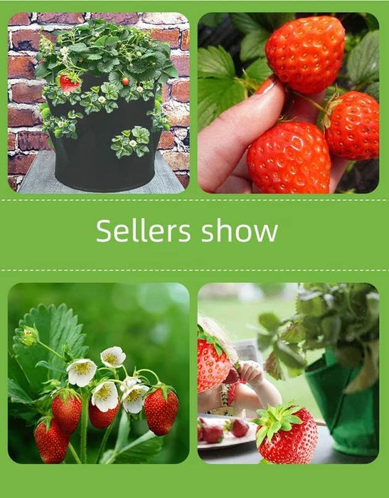 Takufu 4-Pack 10 Gallon Strawberry Plant Grow Bag