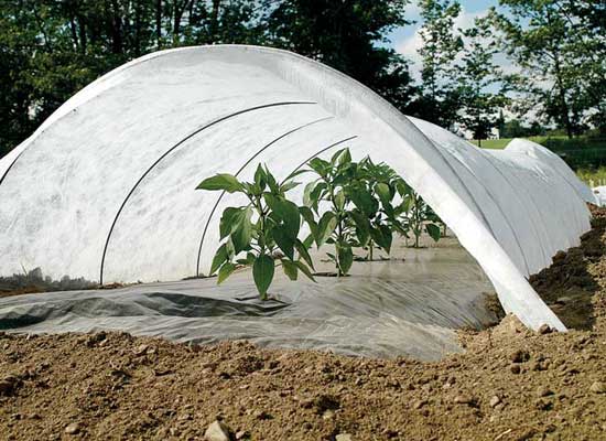Crop Cover Wire/Fiber Stick, 5mm