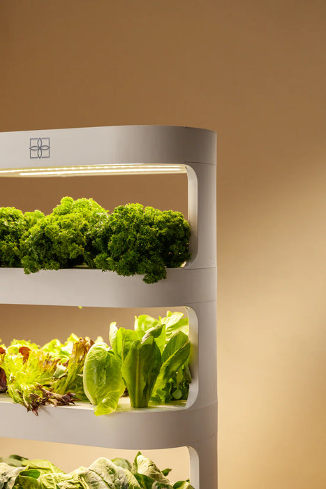 Takufu Hydroponic For Home, LED Light And Remote Control, Indoor Garden