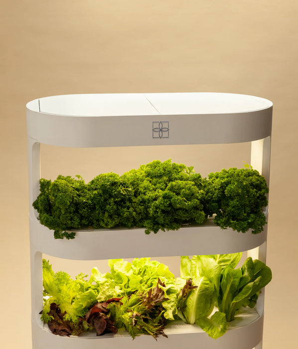 Takufu Hydroponic For Home, LED Light And Remote Control, Indoor Garden