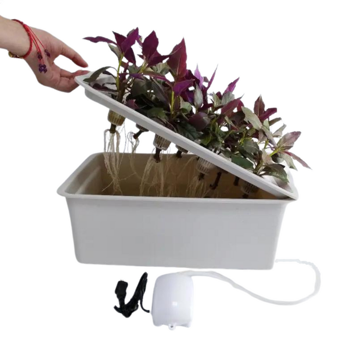 Takufu 12-Pod Indoor Hydroponics Growing System Kit