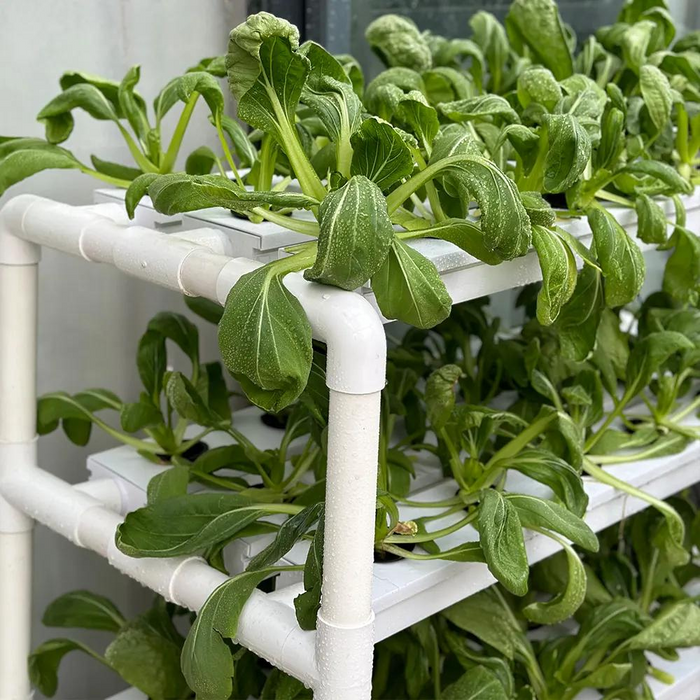Takufu NFT Channel Grow Home Hydroponics Planting System