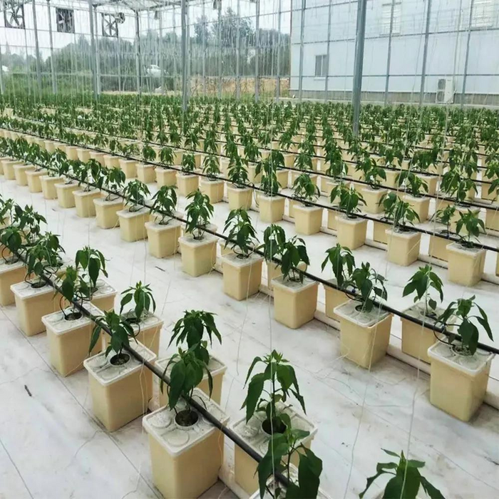 Takufu Agricultural Vegetable Hidroponic Greenhouse Hydroponic Growing System Dutch Bucket With Single Hole Lid