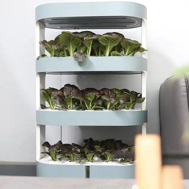 Takufu Hydroponic For Home, LED Light And Remote Control, Indoor Garden