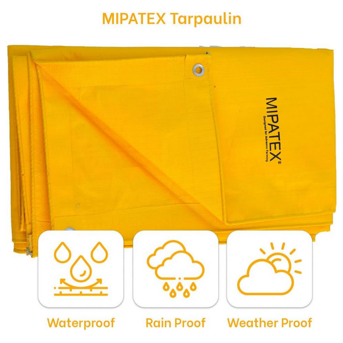 Mipatex Tarpaulin Sheet, Waterproof, Color: Yellow, Blue & Silver