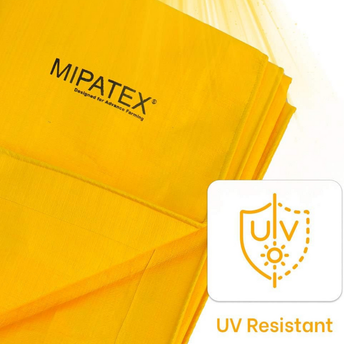 Mipatex Tarpaulin Sheet, Waterproof, Color: Yellow, Blue & Silver