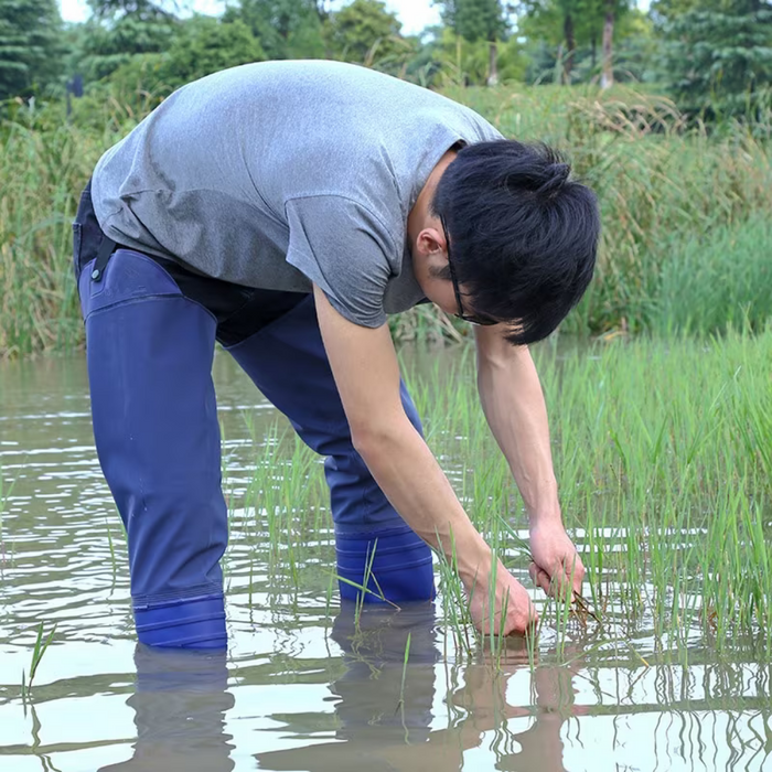 Paddy Farmer Safety Shoes