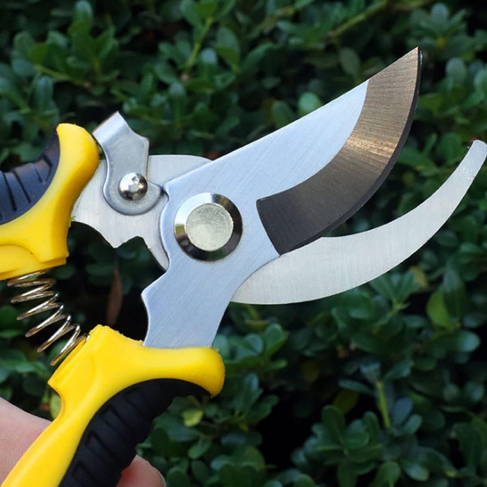 Takufu Pruning Secateur