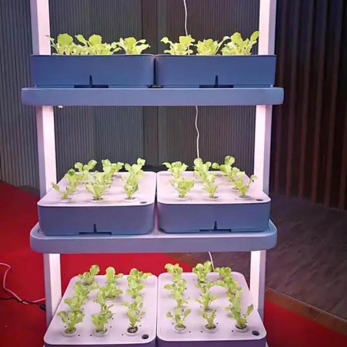 Small Home Complete Vertical Indoor Hydroponic Lighting Growing Systems