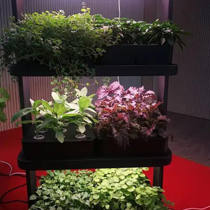 Small Home Complete Vertical Indoor Hydroponic Lighting Growing Systems
