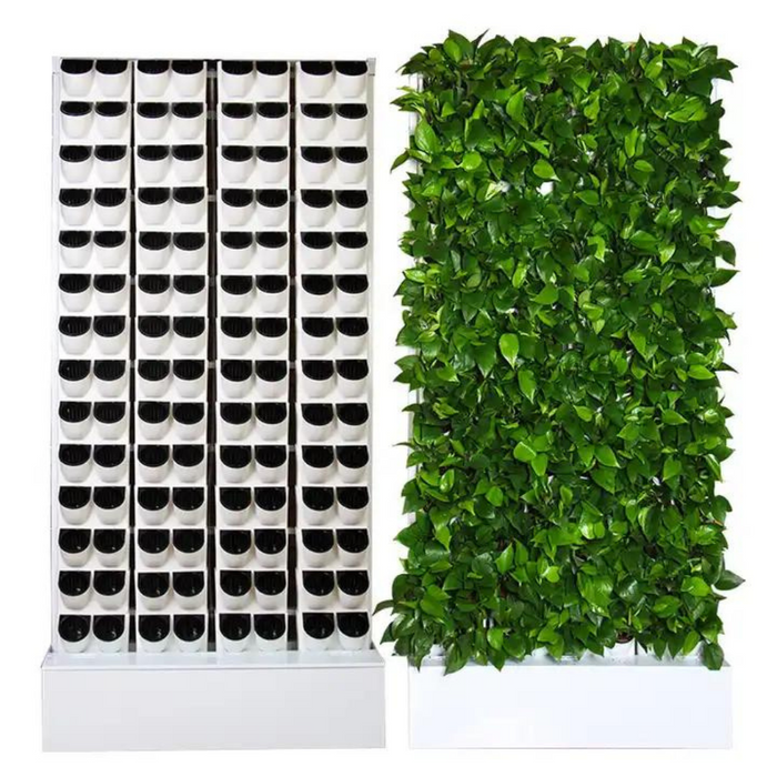 Hydroponic growing system indoor plant growing kit 2 square meters plant wall suitable for green leafy plant cultivation