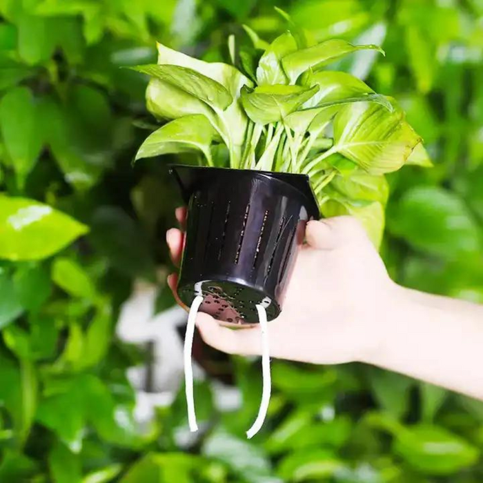 Hydroponic growing system indoor plant growing kit 2 square meters plant wall suitable for green leafy plant cultivation