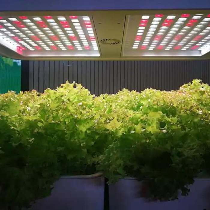 Small Home Complete Vertical Indoor Hydroponic Lighting Growing Systems