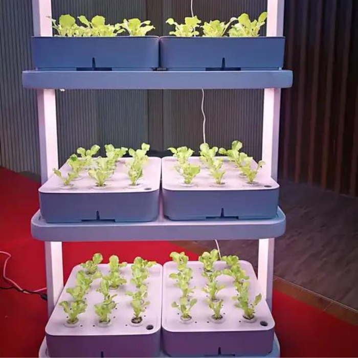 Small Home Complete Vertical Indoor Hydroponic Lighting Growing Systems