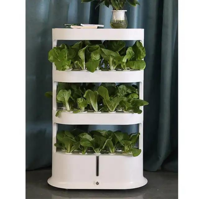 Takufu Hydroponic For Home, LED Light And Remote Control, Indoor Garden