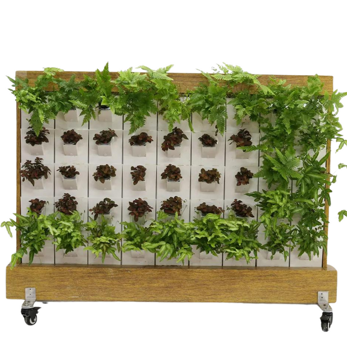 Takufu Indoor Aeroponic/Hydroponic Vertical Wall, Office/Aprtment Wall Planter