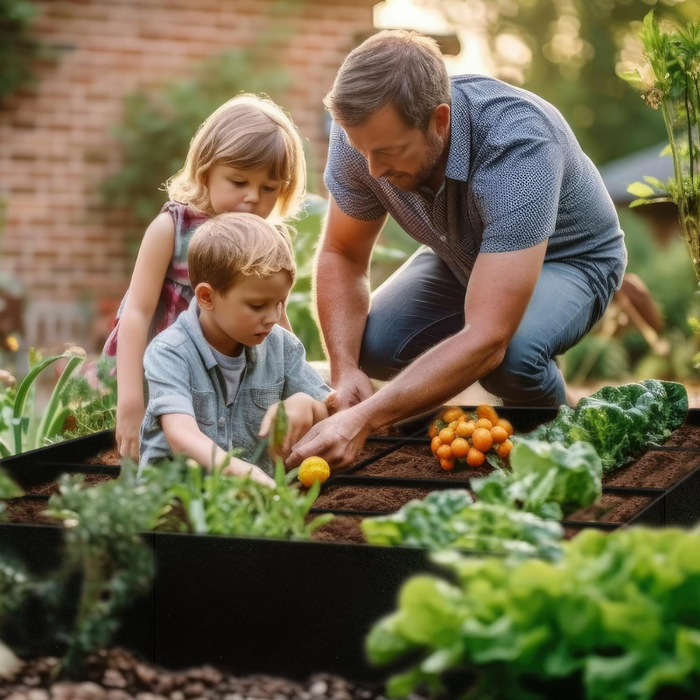 Takufu Garden Mini-Farm With Onsite Consulation and Maintenance Package, Urban Farming, Raised Bed Gardening in UAE