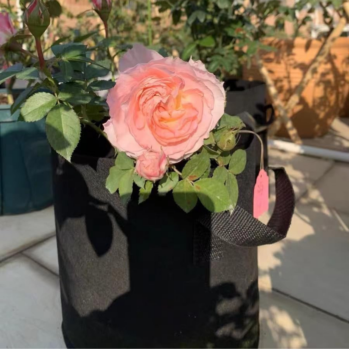 Takufu Non-woven Grow Bags for Planting Vegetable and Fruit Saplings, Courtyard/Balcony/Roof