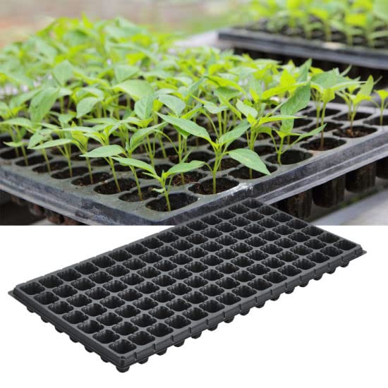 Germination Plastic Seedling Nursery Tray, 12 Trays