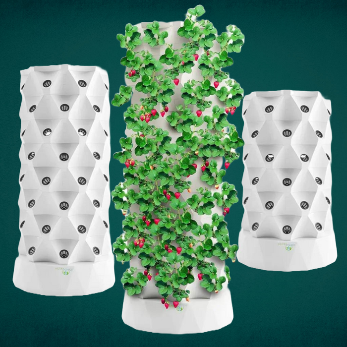 Takufu Aeroponic Growing Tower, Home Hydroponics UAE, Smart Indoor Gardening Kit, Indoor Hydroponics Abu Dhabi, UAE Eco-Friendly Gardening