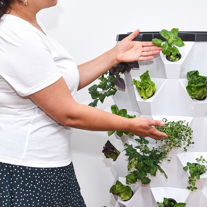 Takufu Aeroponic Growing Tower, Home Hydroponics UAE, Smart Indoor Gardening Kit, Indoor Hydroponics Abu Dhabi, UAE Eco-Friendly Gardening