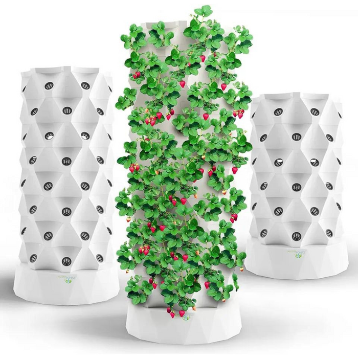 Takufu Aeroponic Growing Tower, Home Hydroponics UAE, Smart Indoor Gardening Kit, Indoor Hydroponics Abu Dhabi, UAE Eco-Friendly Gardening