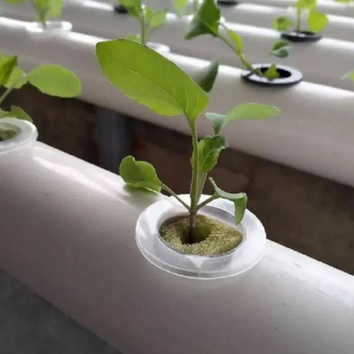 Takufu Hydroponics NFT System Garden