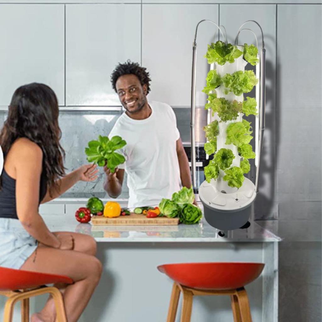 Grow Food at Home in UAE - Best Hydroponic Devices and Accessories