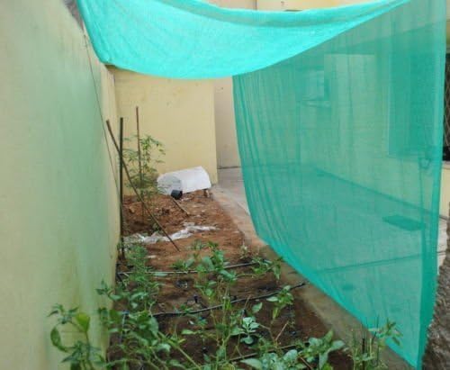 Shade Net Greenhouse, Green