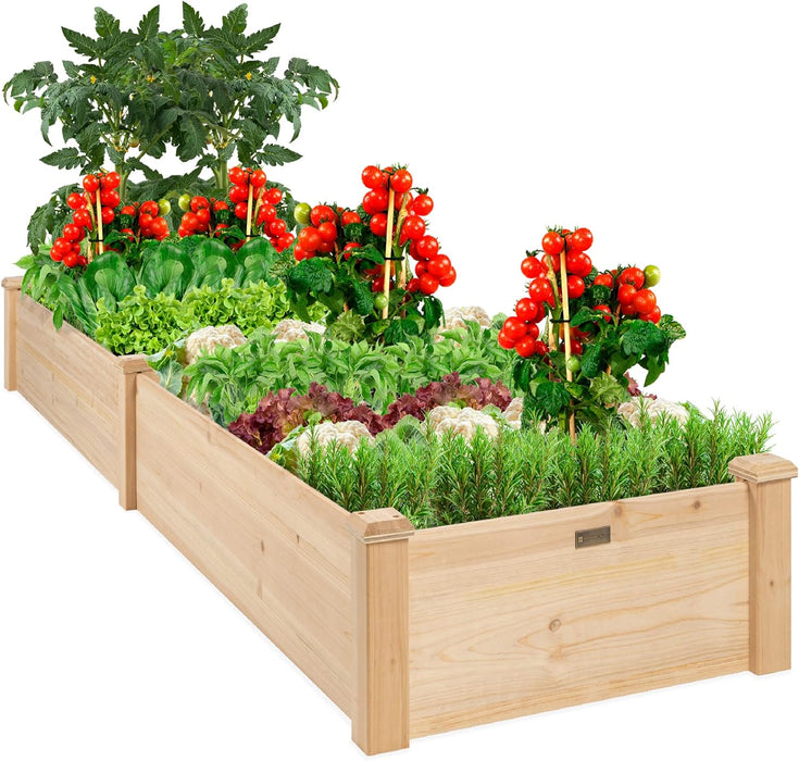 Takufu Garden Raised Bed for Balcony Farming - With Onsite Consulation and Maintenance Package, Urban Farming, Raised Bed Gardenibg in the UAE