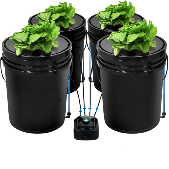 Takufu DWC Hydroponic Device