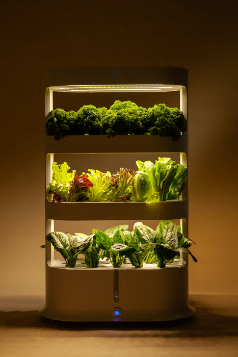 Takufu Hydroponic For Home, LED Light And Remote Control, Indoor Garden