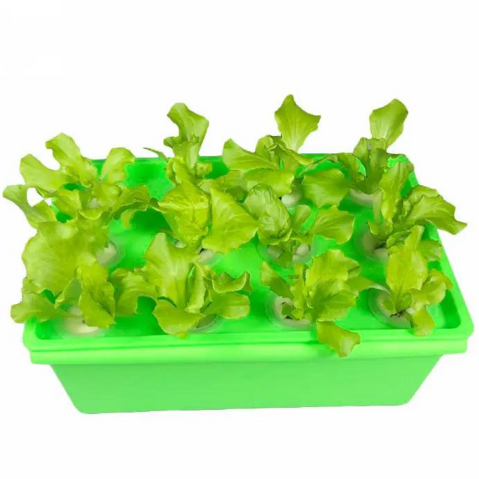 Takufu 12-Pod Indoor Hydroponics Growing System Kit