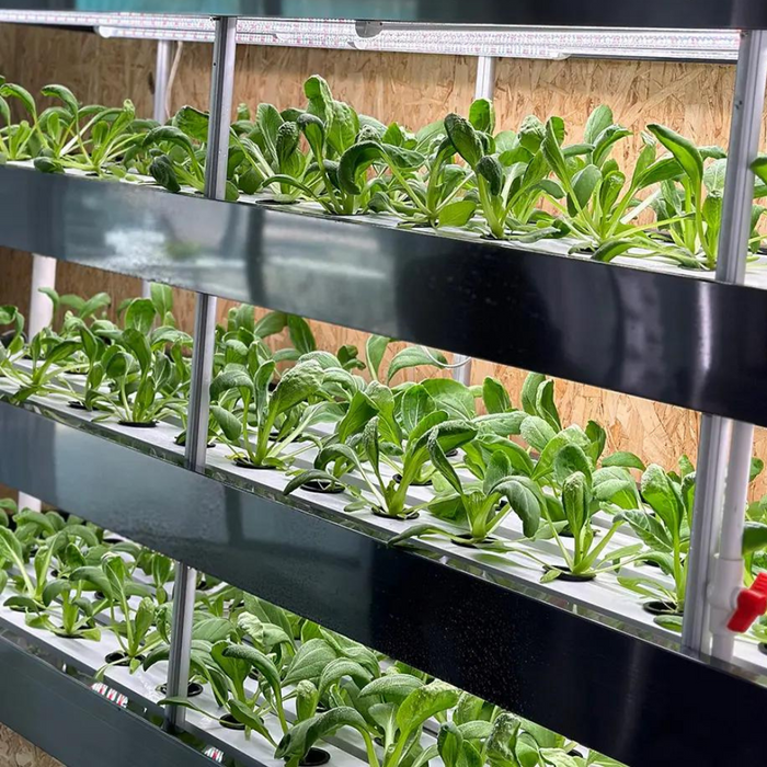Takufu NFT Channel Grow Home Hydroponics Planting System