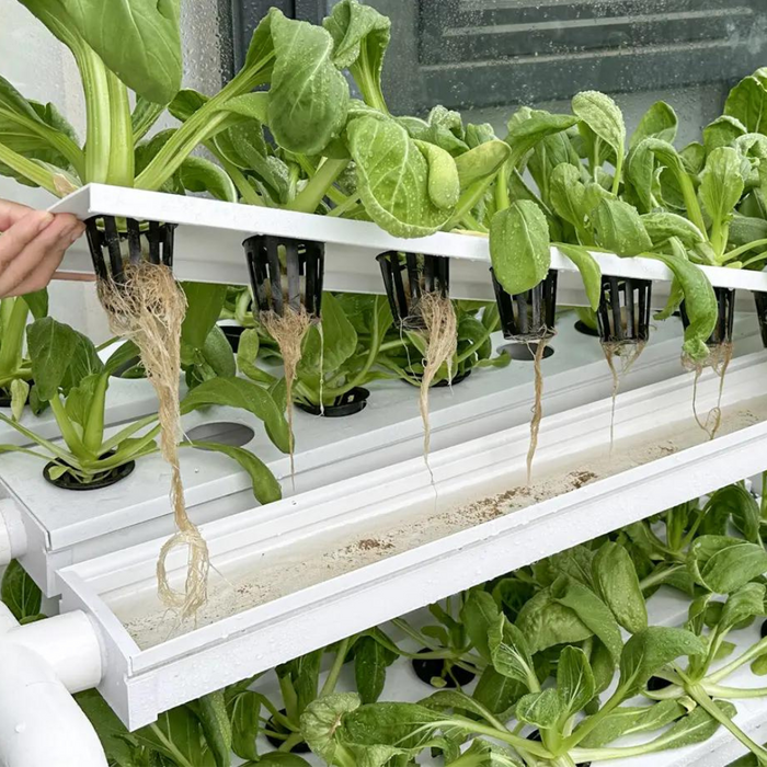 Takufu NFT Channel Grow Home Hydroponics Planting System