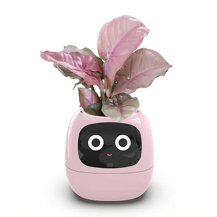 Smart Plant Pot - Ivy