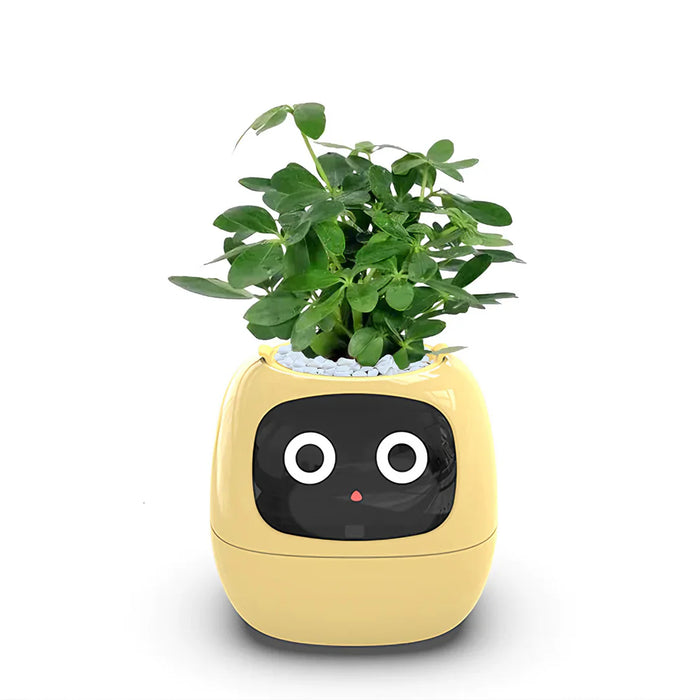 Smart Plant Pot - Ivy