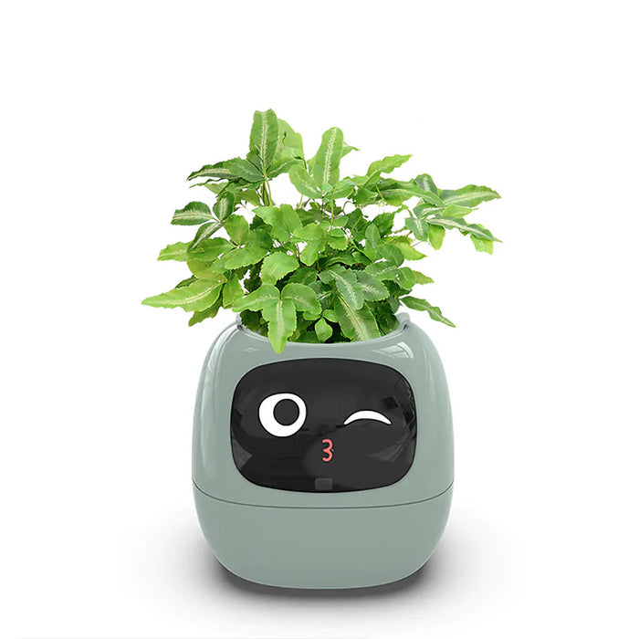 Smart Plant Pot - Ivy