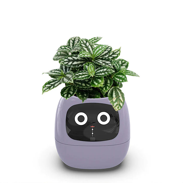 Smart Plant Pot - Ivy