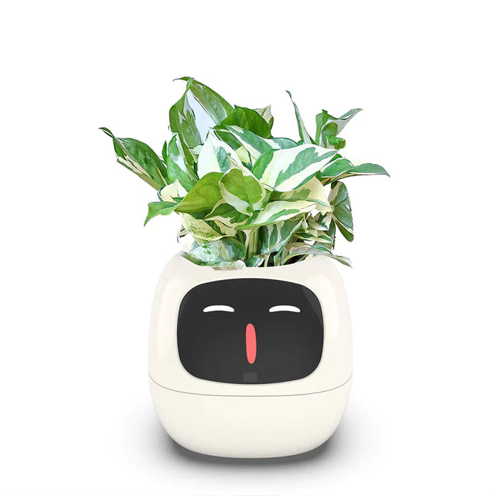 Smart Plant Pot - Ivy