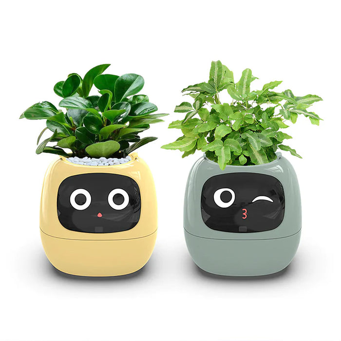 Smart Plant Pot - Ivy