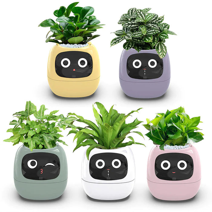 Smart Plant Pot - Ivy