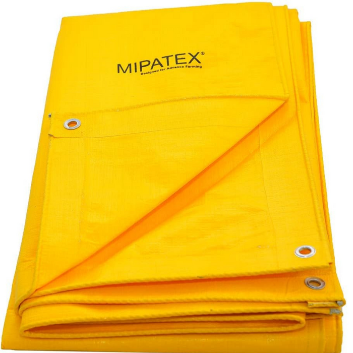 Mipatex Tarpaulin Sheet, Waterproof, Color: Yellow, Blue & Silver