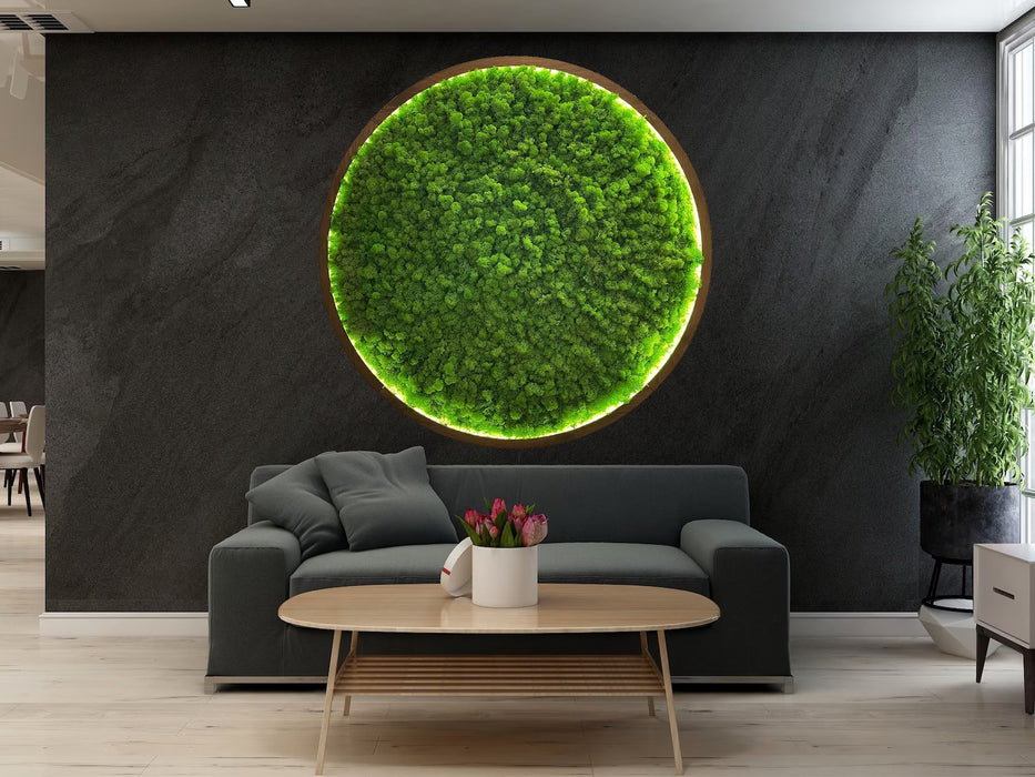 Moss wall art decor with led, Oversized moss wall art, Natural dried moss wall art, Wall moss decor, Aesthetic preserved Moss wall art
