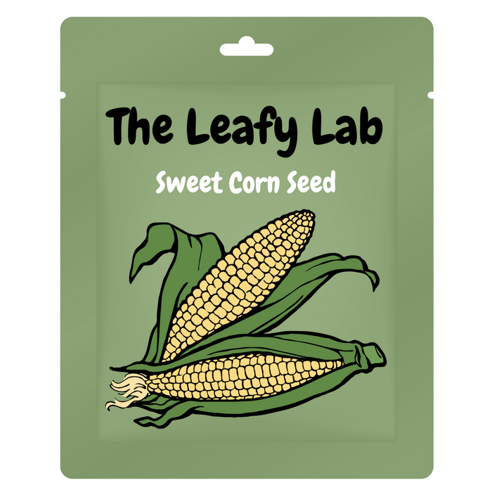 The Leafy Lab Sweet Corn Seeds, 100 Seeds