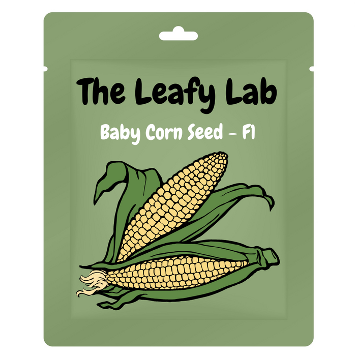 The Leafy Labs Hybrid F1 Baby Corn Seeds, 80 Seeds Pack