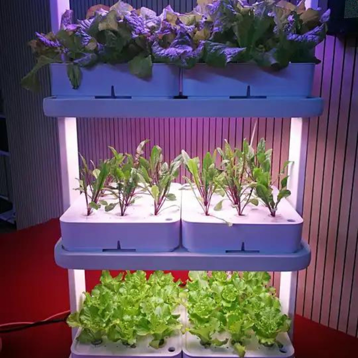 Small Home Complete Vertical Indoor Hydroponic Lighting Growing Systems