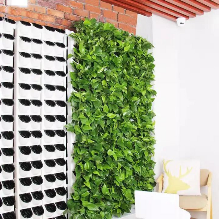 Hydroponic growing system indoor plant growing kit 2 square meters plant wall suitable for green leafy plant cultivation