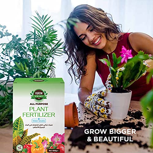Vgrow All Purpose Plant Fertilizer - 100% Water Soluble Essential Nutrient for All Types of Home Garden and Indoor Plants - 450g